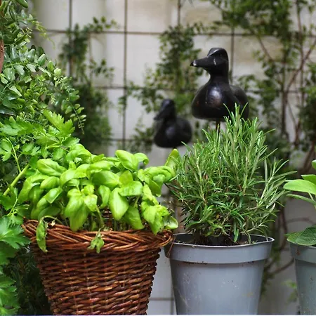 Centro Citta Quartiere Oltrarno Con Una Camera Da Letto דירה פירנצה