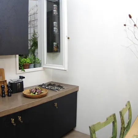 Centro Citta Quartiere Oltrarno Con Una Camera Da Letto